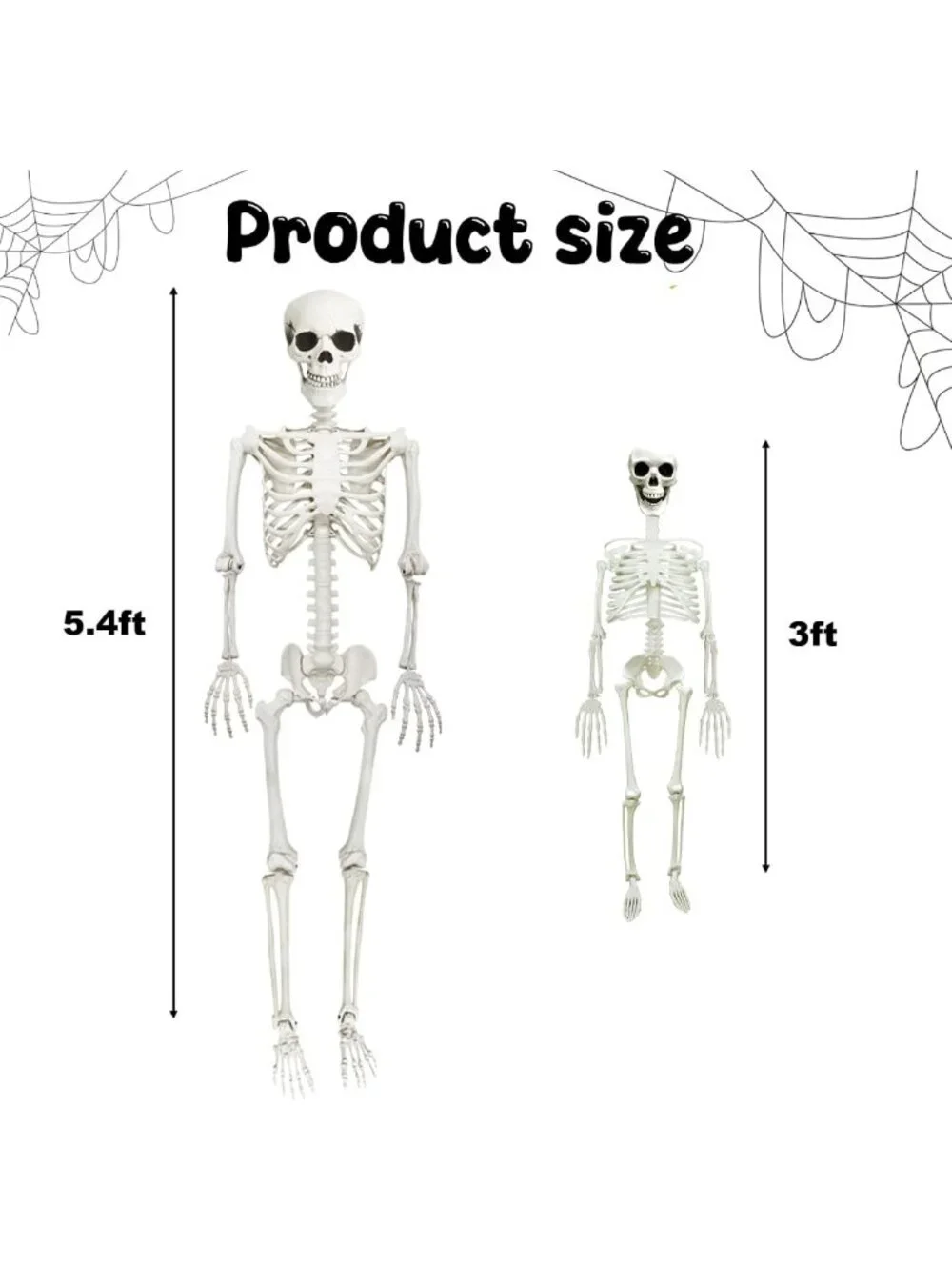 Life-Size Posable Plastic Skeleton Decor - 5.4ft & 3ft Halloween Prop